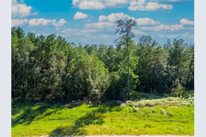 7737 Dog Wood Acres Drive, Montgomery, TX 77316 - Photo 2