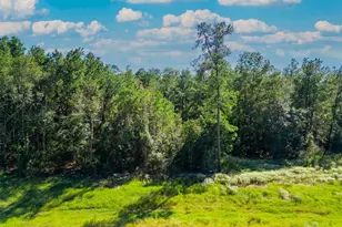 7737 Dog Wood Acres Dr, Montgomery, TX 77316 - Photo 2