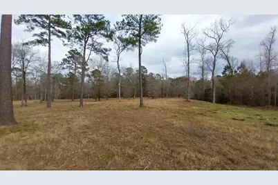 Tbd Noah Court, Huntsville, TX 77320 - Photo 4