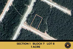 115 Bunkhouse Rd, New Waverly, TX 77358 - Photo 1