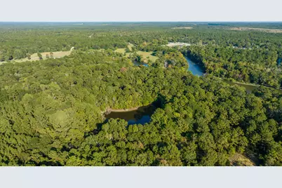 2258 Fm 3459, Onalaska, TX 77360 - Photo 12