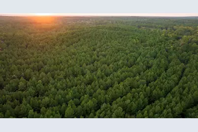 2258 Fm 3459, Onalaska, TX 77360 - Photo 16