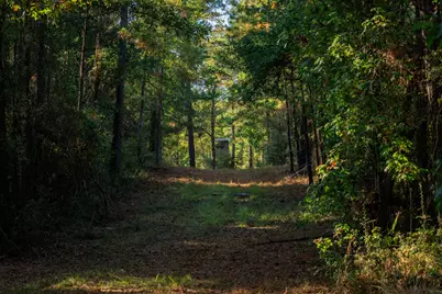 2258 Fm 3459, Onalaska, TX 77360 - Photo 28