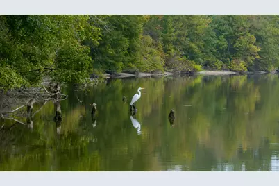 2258 Fm 3459, Onalaska, TX 77360 - Photo 18