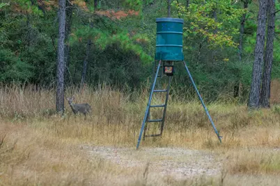 2258 Fm 3459, Onalaska, TX 77360 - Photo 20