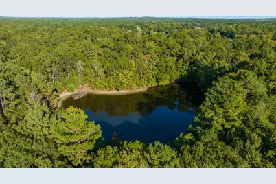 2258 Fm 3459, Onalaska, TX 77360 - Photo 10