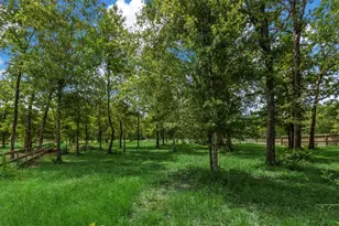 9171 Whitetail Dr, Conroe, TX 77303 - Photo 20