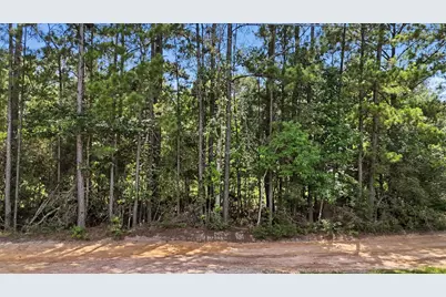 325 Natchez Road, Livingston, TX 77351 - Photo 2