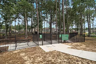 16718 Brighter Blooms Ave, Porter, TX 77365 - Photo 22