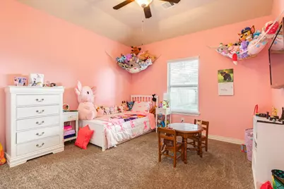 4 Lobo, Angleton, TX 77515 - Photo 18