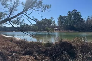 0 Sycamore Dr, Montgomery, TX 77356 - Photo 8