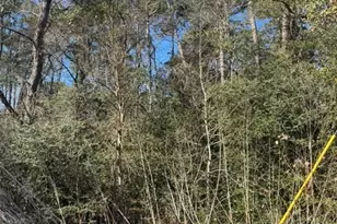 0 Sycamore Dr, Montgomery, TX 77356 - Photo 2