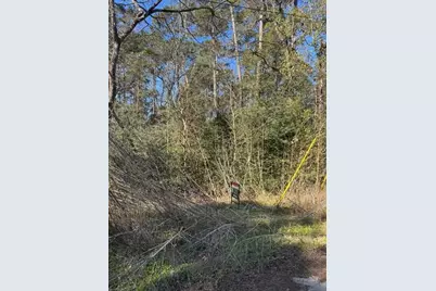 0 Sycamore Drive, Montgomery, TX 77356 - Photo 1