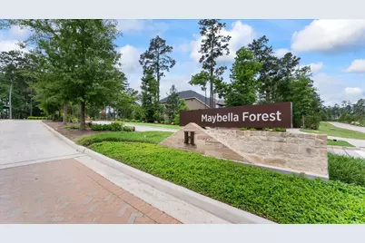 327 Honey Mesquite Path, Conroe, TX 77318 - Photo 34