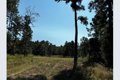 Tract 5 Trinity Lady Park Road, Trinity, TX 75862 - Photo 2