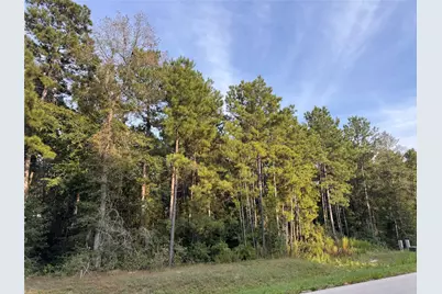 344 Exploration Road, Willis, TX 77378 - Photo 8