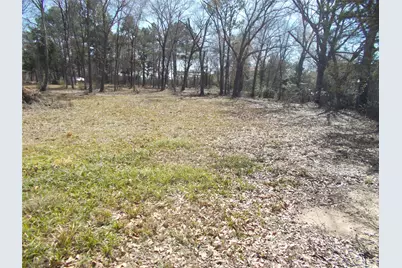 10192 County Road 413, Navasota, TX 77868 - Photo 20
