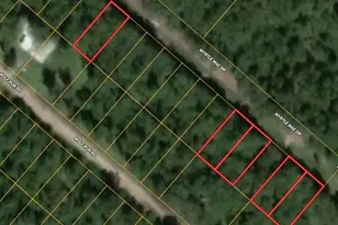 154 Myrtle Mae Dr, Livingston, TX 77351 - Photo 1