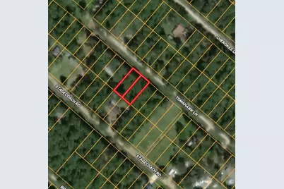 154 Myrtle Mae Drive, Livingston, TX 77351 - Photo 4