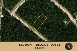 110 Coyote Run, Willis, TX 77378 - Photo 1