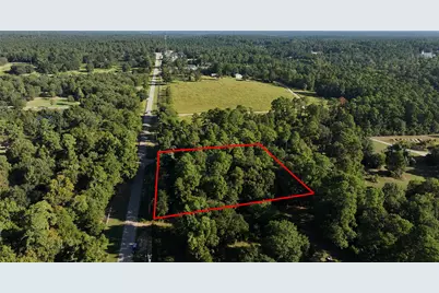 0000 Pearson Rd, Montgomery, TX 77356 - Photo 4