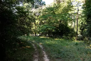 0000 Pearson Rd, Montgomery, TX 77356 - Photo 10