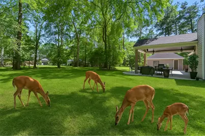 502 Garrett Drive, Magnolia, TX 77354 - Photo 16