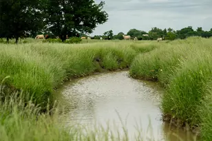 1716 B County Road 469, Coupland, TX 78615 - Photo 16