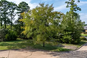 15 Stanford Ct, Montgomery, TX 77356 - Photo 10