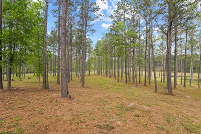 3143 County Rd 4300, Woodville, TX 75979 - Photo 38