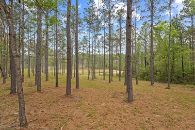 3143 County Rd 4300, Woodville, TX 75979 - Photo 40