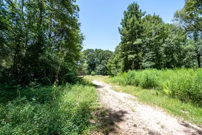 10710 Waukegan Road, Conroe, TX 77306 - Photo 6