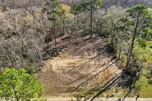 0 Co Rd 427, Dayton, TX 77535 - Photo 1