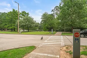 35 N Pathfinders Cir, The Woodlands, TX 77381 - Photo 40