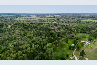 Tbd Private Road 1120, Leona, TX 75850 - Photo 12