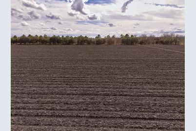 Tbd Fm 1952, Wallis, TX 77485 - Photo 22
