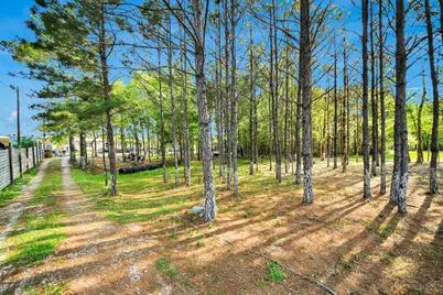 20065 Spring Hill Lane, Porter, TX 77365 - Photo 38