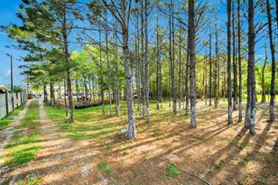 20065 Spring Hill Ln, Porter, TX 77365 - Photo 38