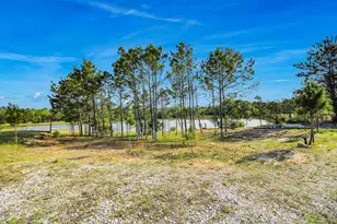 20065 Spring Hill Ln, Porter, TX 77365 - Photo 34