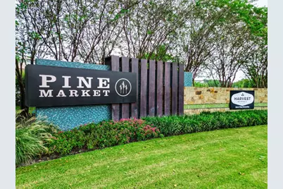 275 Capriccio Lane, Montgomery, TX 77316 - Photo 46