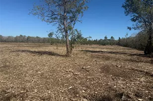 1914 1st St, Liverpool, TX 77577 - Photo 10