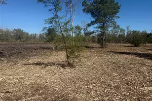 1914 1st St, Liverpool, TX 77577 - Photo 8