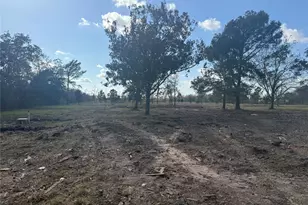 1914 1st St, Liverpool, TX 77577 - Photo 6