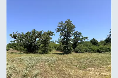 2447 Cr 261, Buffalo, TX 75831 - Photo 6