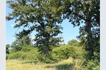 2447 Cr 261, Buffalo, TX 75831 - Photo 2