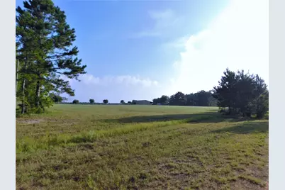 11914 Browder Traylor Road, Conroe, TX 77303 - Photo 4