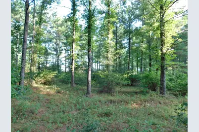 11914 Browder Traylor Road, Conroe, TX 77303 - Photo 10