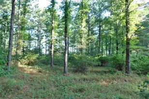 11914 Browder Traylor Rd, Conroe, TX 77303 - Photo 10