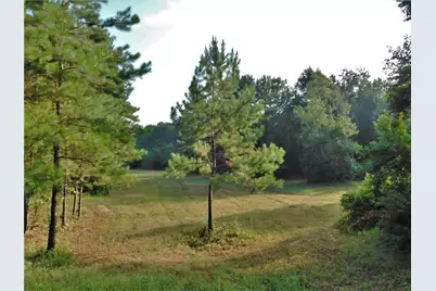 11914 Browder Traylor Road, Conroe, TX 77303 - Photo 12