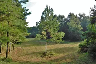 11914 Browder Traylor Rd, Conroe, TX 77303 - Photo 12